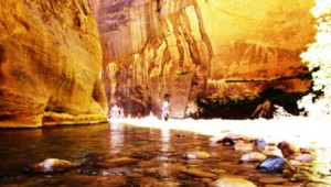 Rundreise USA Westküste Guided Tour Riverside Walk im Zion Nationalpark