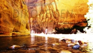 USA Reise Westküste Wanderung duch einen Fluss im traumhaften Zion Nationalpark