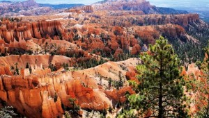USA Reise Westküste Wunderschöner Überblick über den Bryce Canyon Nationalpark