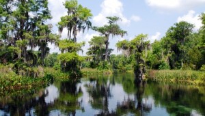 Rundreise Florida Die Sümpfe des Everglades Nationalpark
