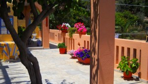 Inselhüpfen Griechenland Amphitrite Hotel Terrasse Baum